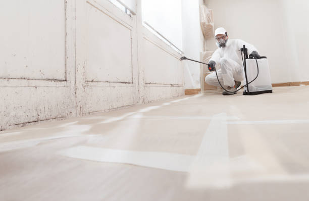 24/7 Emergency Commercial Mold Remediation experts in Lexington, MI