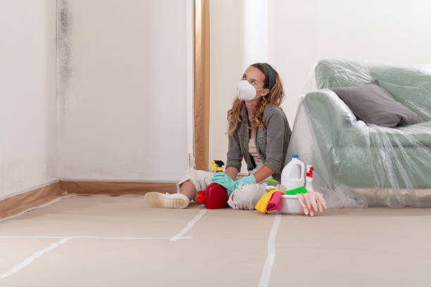 Reliable Mold Cleanup contractor in Lexington, MI by Cheap Mold Removal